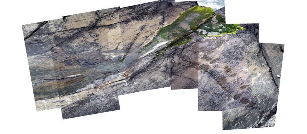 pan 1 copy